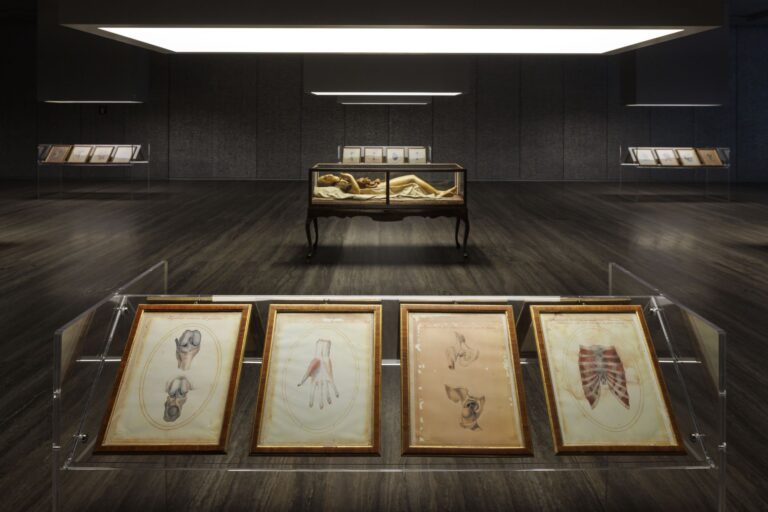 Cere anatomiche: La Specola di Firenze | David Cronenberg, installation view at Fondazione Prada, Milano, 2023. Photo Roberto Marossi, courtesy Fondazione Prada
