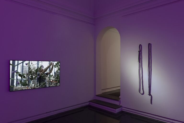 Daisy Chain, installation view at Galleria Eugenia Delfini, Roma, 2023. Foto © Carlo Romano, Courtesy Erin Johnson e Galleria Eugenia Delfini