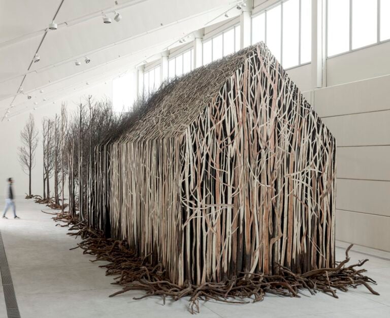 Doris Salcedo, Uprooted, 2020 2022. 804 dead trees and steel; courtesy of the artist. Photo Juan Castro Photoholic