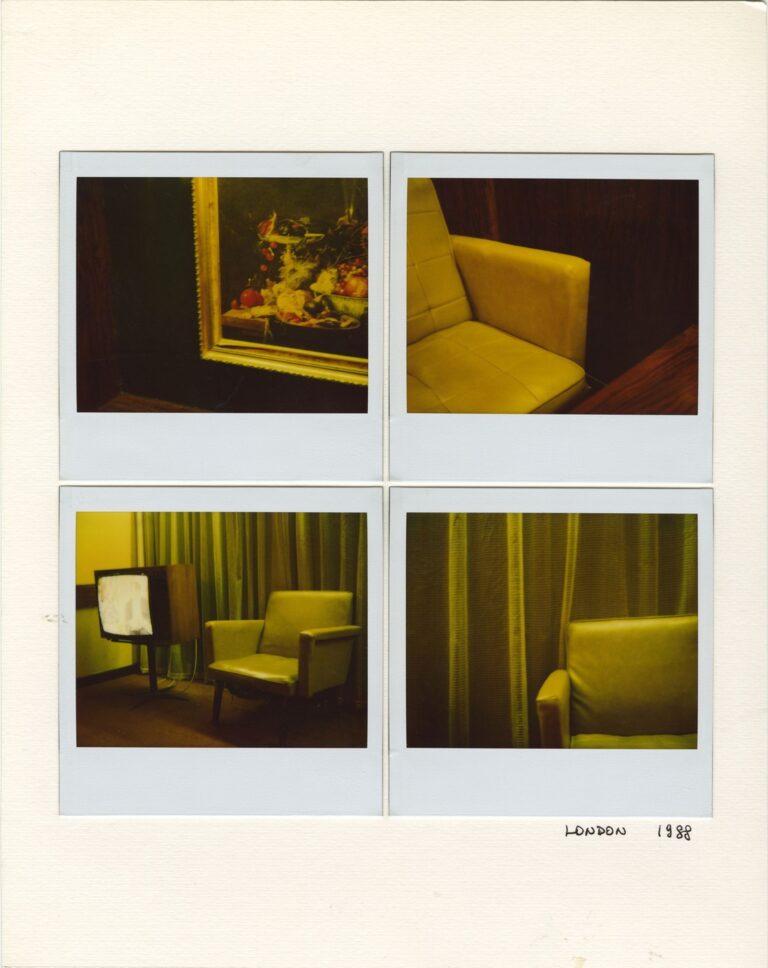 Graziano Arici, Polaroids