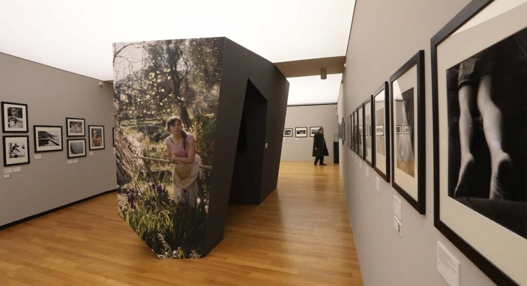 3D Portrait: The Amateur Photographer of Happiness 3D Portrait: The Amateur Photographer of Happiness