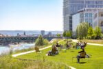 L'affaccio sul Reno del Campus Novartis