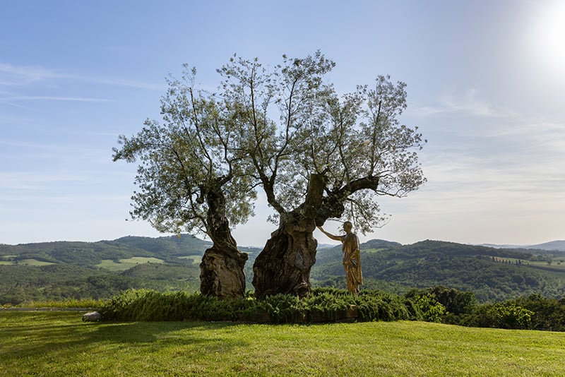 Michelangelo Pistoletto, Gli Etruschi Accarezzare gli alberi, 1976 2005 MITICO Castello di Casole, A Belmond Hotel. Courtesy Michelangelo Pistoletto and GALLERIA CONTINUA. Ph: Agostino Osio