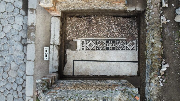 Terme Stabiane, Mosaico