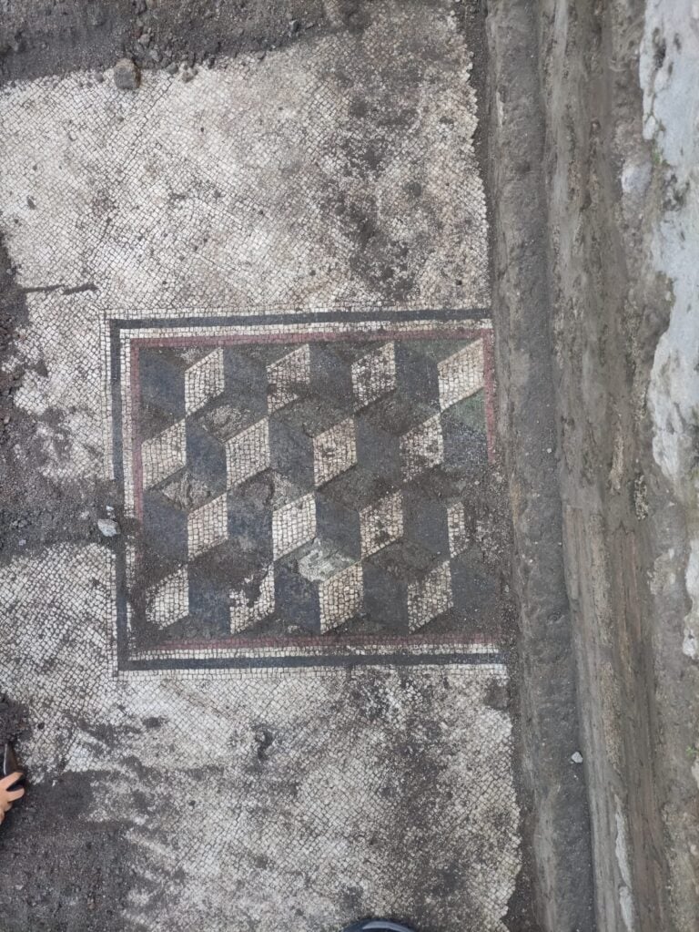 Terme Stabiane, Mosaico