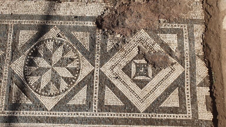 Terme Stabiane, Mosaico