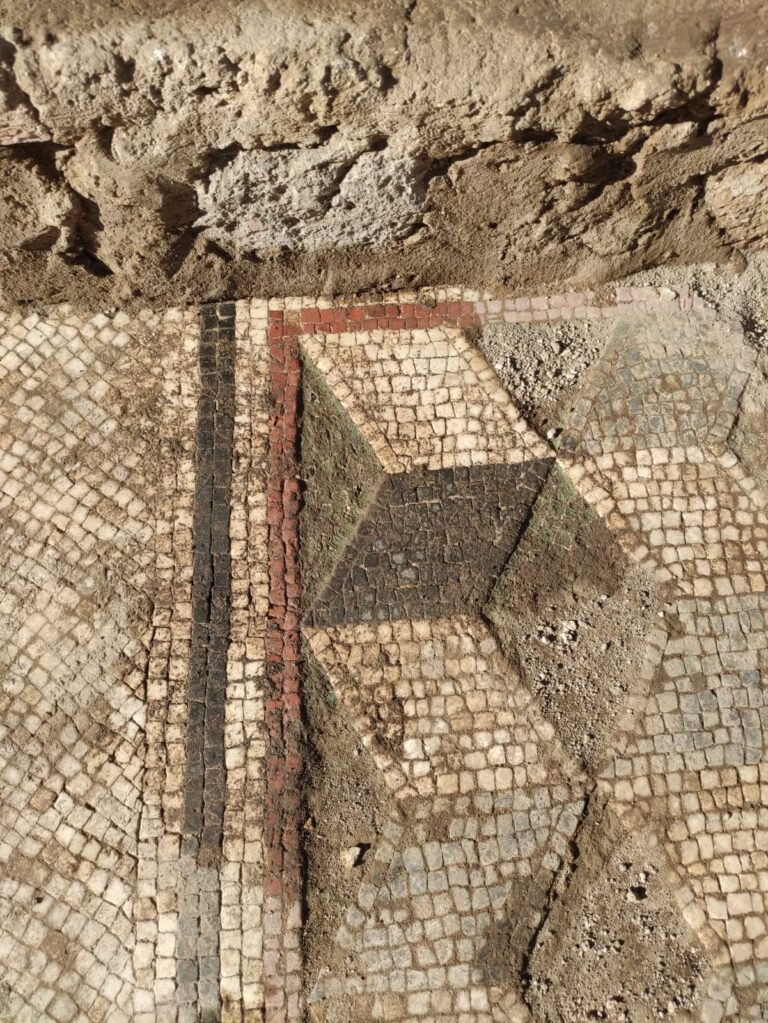 Terme Stabiane, Mosaico