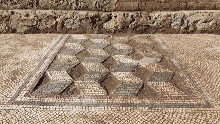 Terme Stabiane, Mosaico
