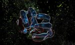 Pipilotti Rist. Still da Hand Me Your Trust, 2023 © ProLitteris