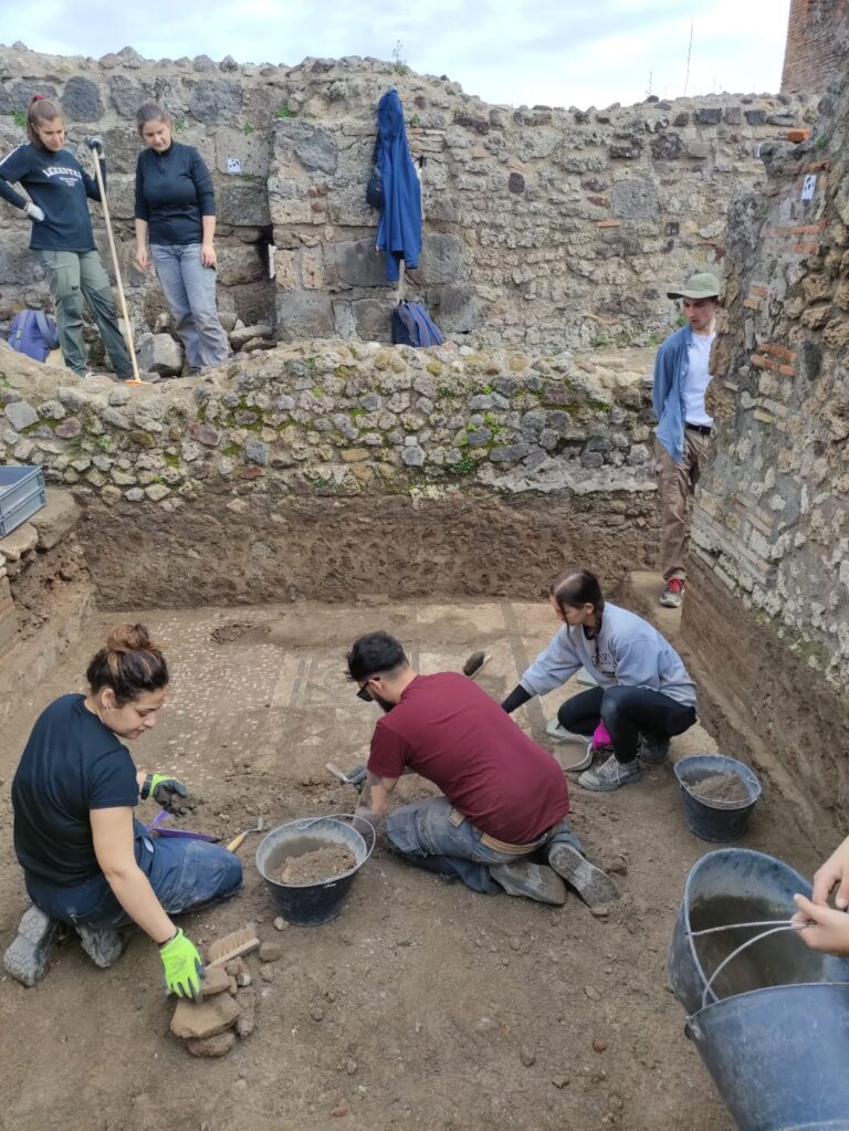 Terme Stabiane, Mosaico