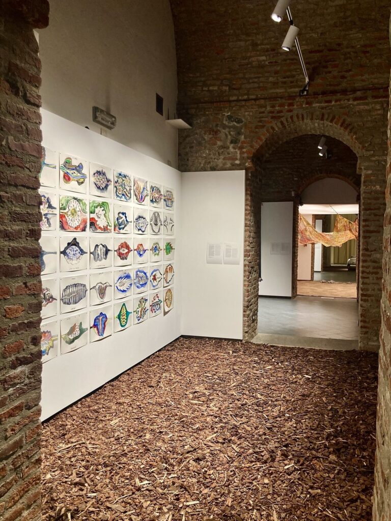 The mountain touch, installation view at Museo della Montagna, Torino, 2023