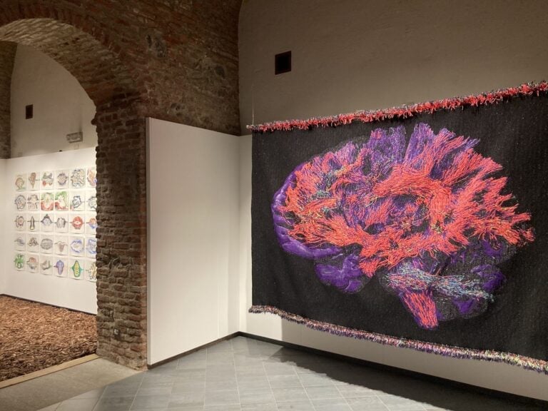 The mountain touch, installation view at Museo della Montagna, Torino, 2023