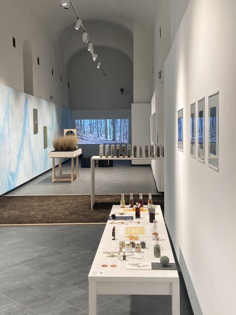 The mountain touch, installation view at Museo della Montagna, Torino, 2023