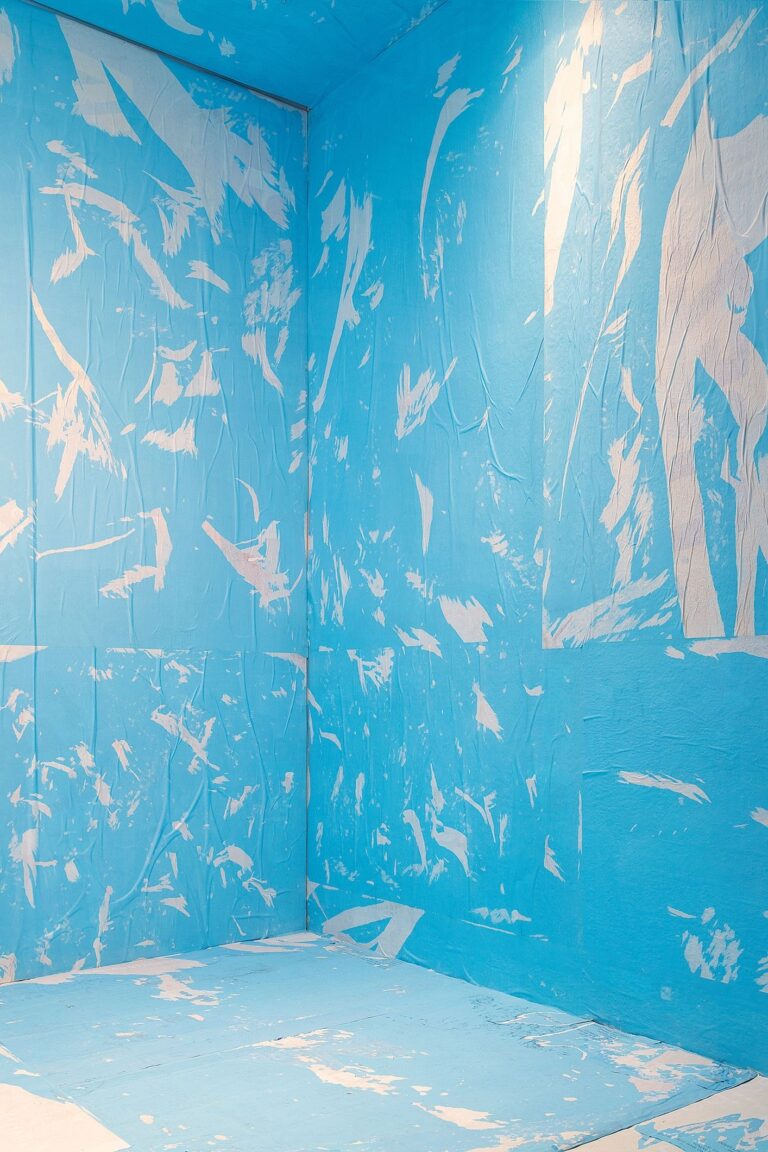 Alessandro Manfrin, Blueback, 2022. Installation view at Platea Palazzo Galeano, Lodi. Courtesy l’artista & Gian Marco Casini Gallery, Livorno. Photo Alberto Messina