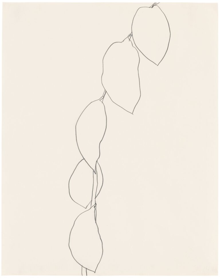 Ellsworth Kelly, Lemon Branch, 1964 © Ellsworth Kelly Foundation