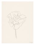 Ellsworth Kelly, Poppy, 2010 © Ellsworth Kelly Foundation
