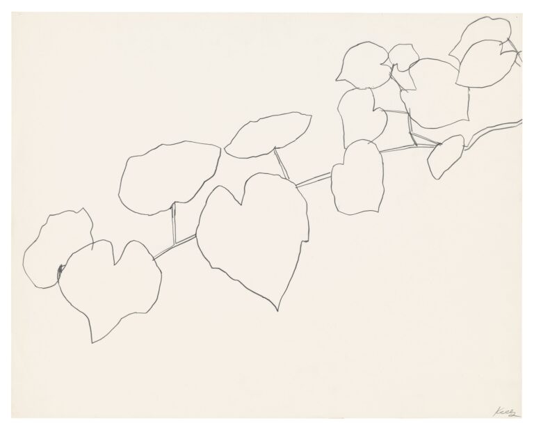 Ellsworth Kelly, Wild Grape (XVIII), 1960 © Ellsworth Kelly Foundation