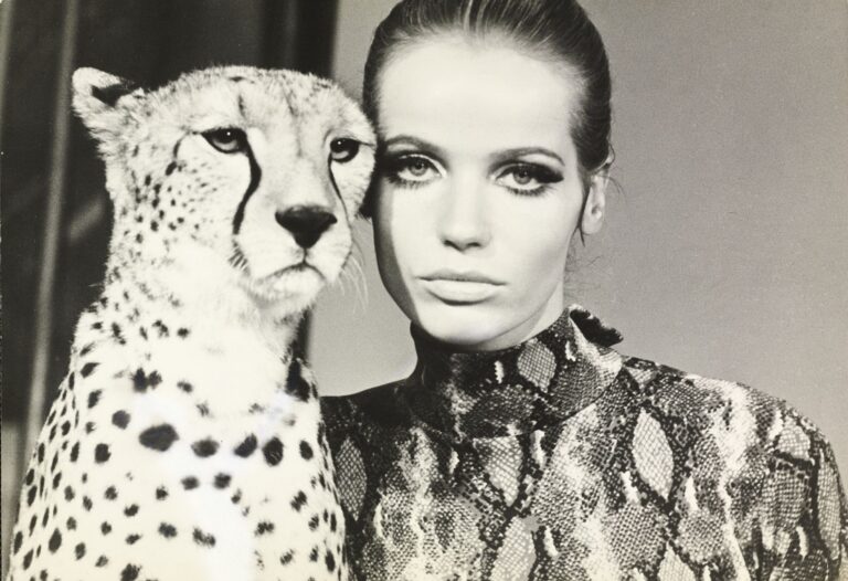 FRANCO RUBARTELLI, Veruschka, head-to-head with a cheetah, 1967, Vogue © Condé Nast
