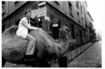 Festa araba a Brera, cammello di nome Badoglio, 1985 86, Brera, Milano. Photo Archivio Garghetti Milano