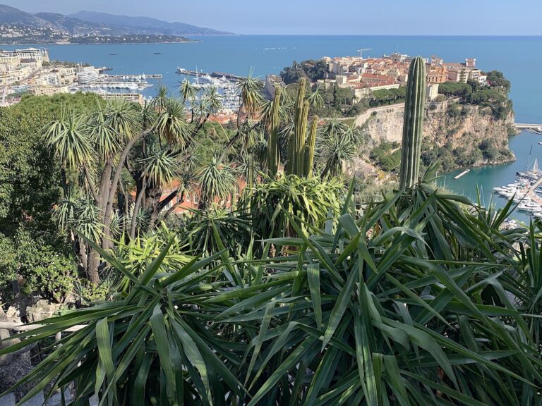 Giardini di Monaco, photo Claudia Zanfi