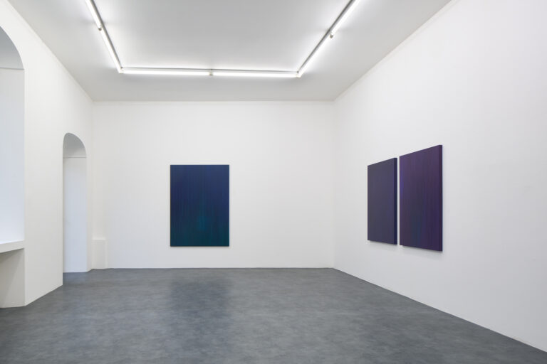 Hermann Bergamelli, Valgua, 2023, installation view. Courtesy A+B Gallery, Brescia. Photo Petrò Gilberti