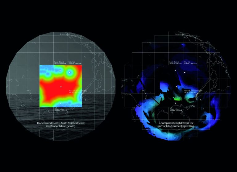 In No Particular Order, Tracking and Trashing Oceanic Pole of Undefined Liability, photo Julian Peschel