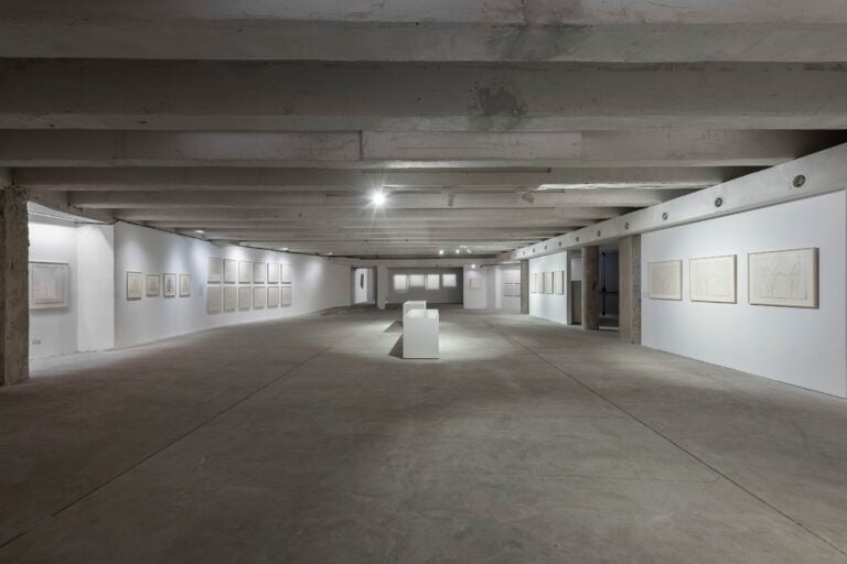 Installation view, Ellsworth Kelly. Line, Form, Color, 2023, Fondazione Nicola Del Roscio, Roma, photo S. Luciano ©FNDR