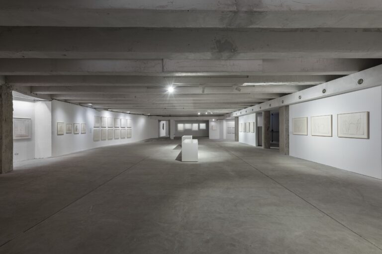 Installation view, Ellsworth Kelly. Line, Form, Color, 2023, Fondazione Nicola Del Roscio, Roma, photo S. Luciano ©FNDR