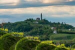 Le colline del Conegliano Valdobbiadene Prosecco Docg, photo Arcangelo Piai