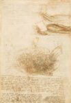 Leonardo da Vinci, Studi di acque