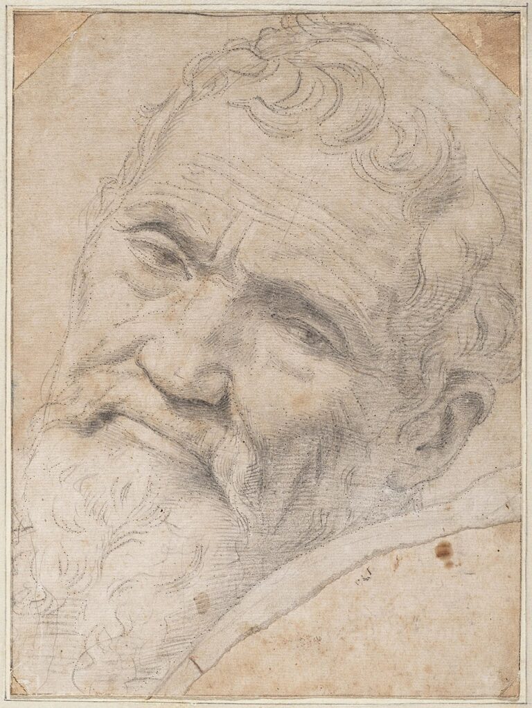 Michelangelo, disegno di Daniele da Volterra