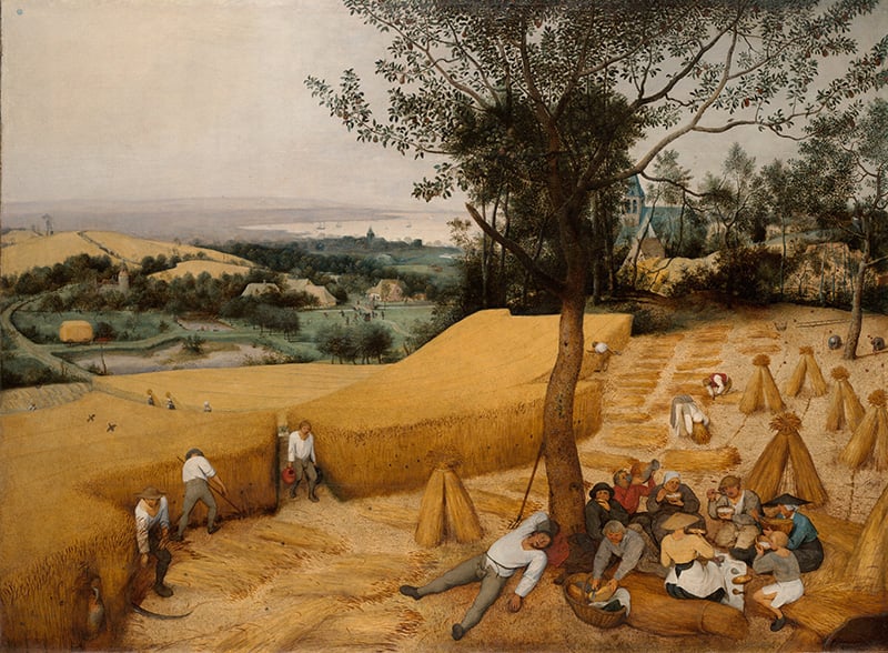 Pieter Bruegel il Vecchio, Mietitori, 1565, olio su tavola cm 116 x 159 MET New York