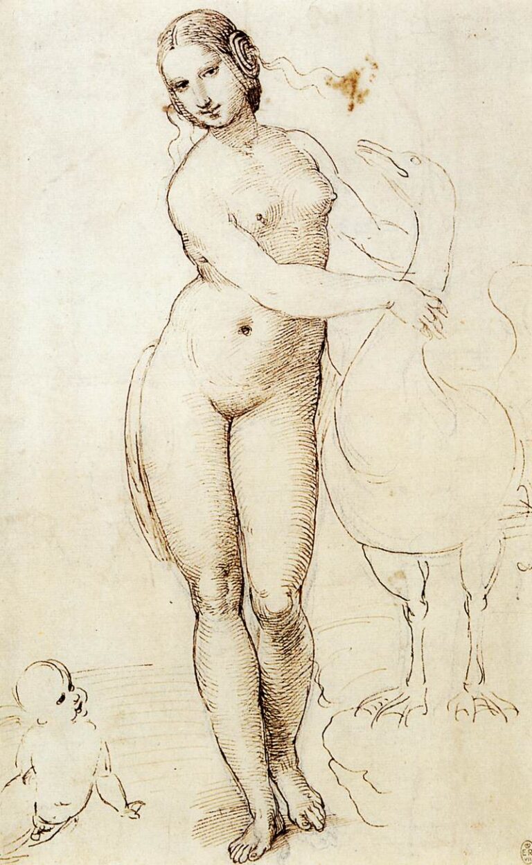 Raffaello, studio della Leda col cigno di Leonardo