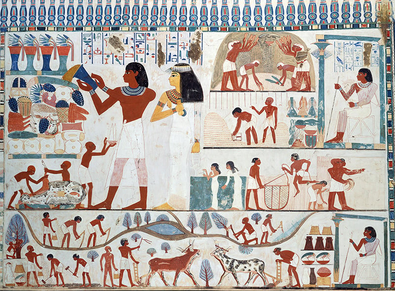 Scena agricola dalla tomba di Nakht a Tebe, Egitto, XVI XIV se. a.C. copia a tempera su carta del 1915