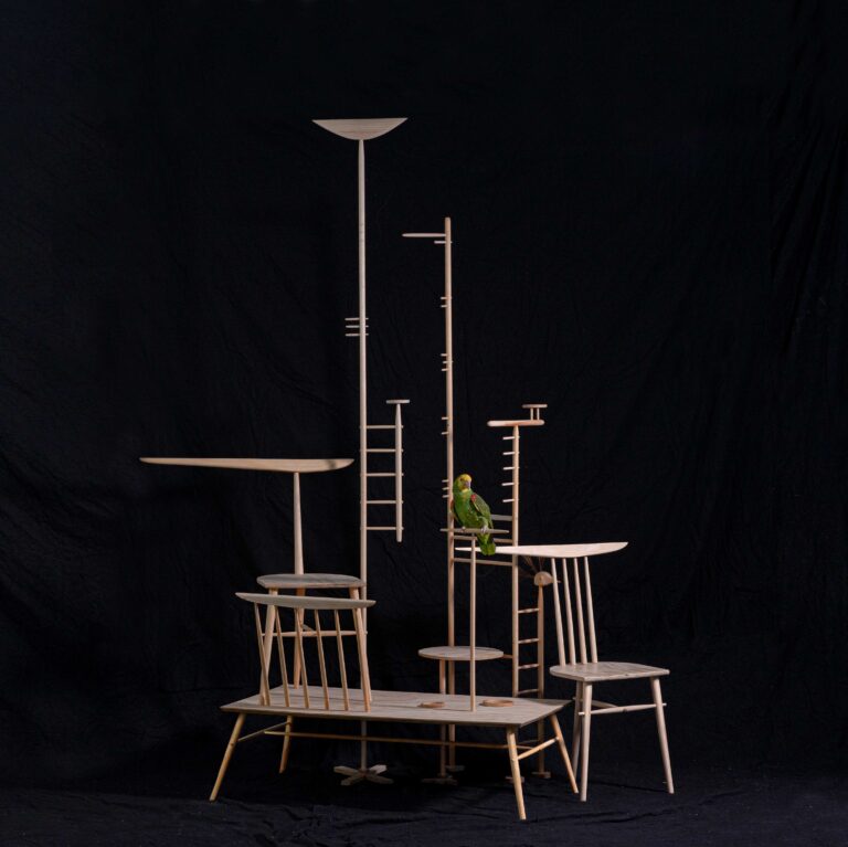 Studio Ossidiana, Furniture for a Human and a Parrot, photo Riccardo De Vecchi