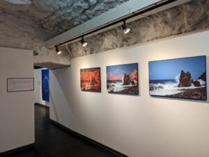 All’Istituto Italiano di Cracovia otto giovani artisti indagano il rapporto tra arte e scienza