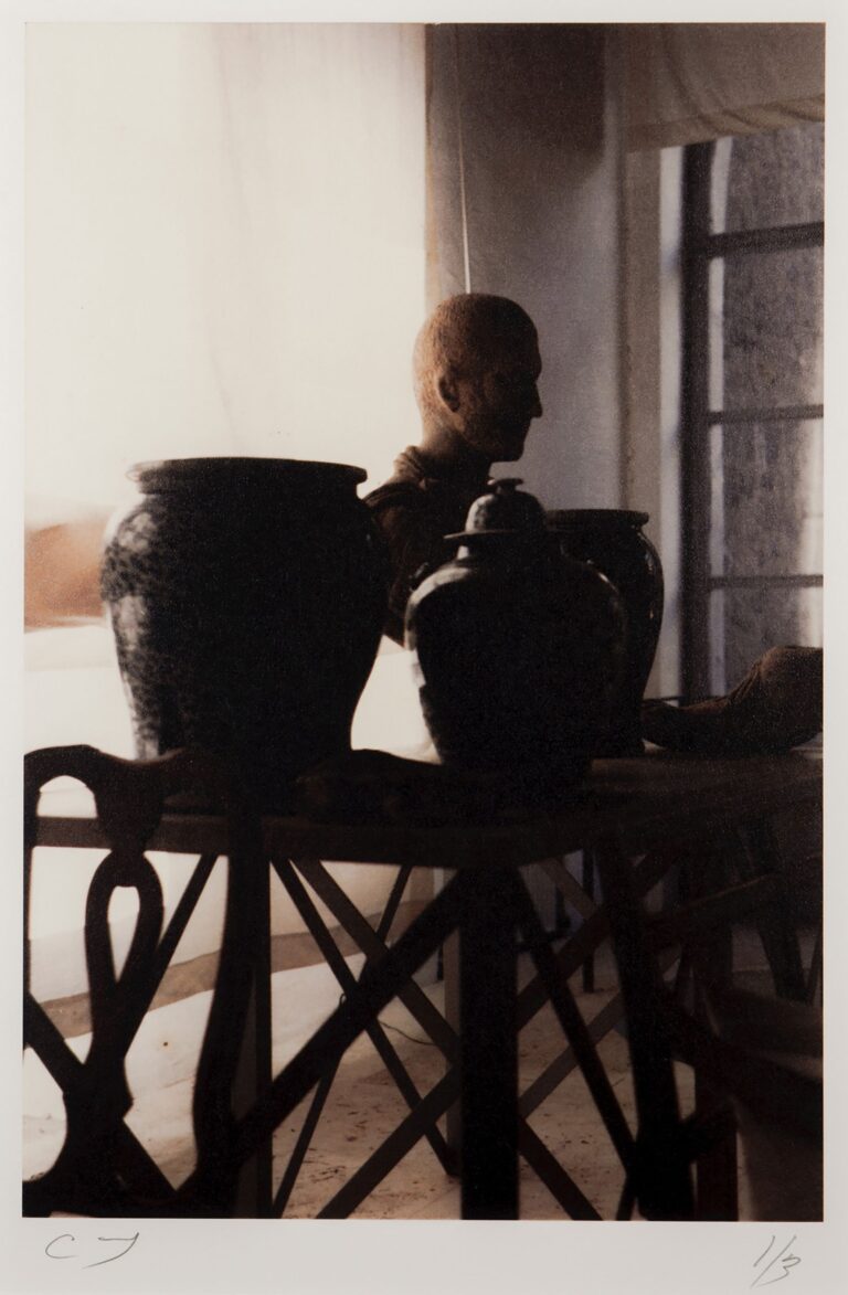 Cy Twombly, Interior Bassano in Teverina, 1998