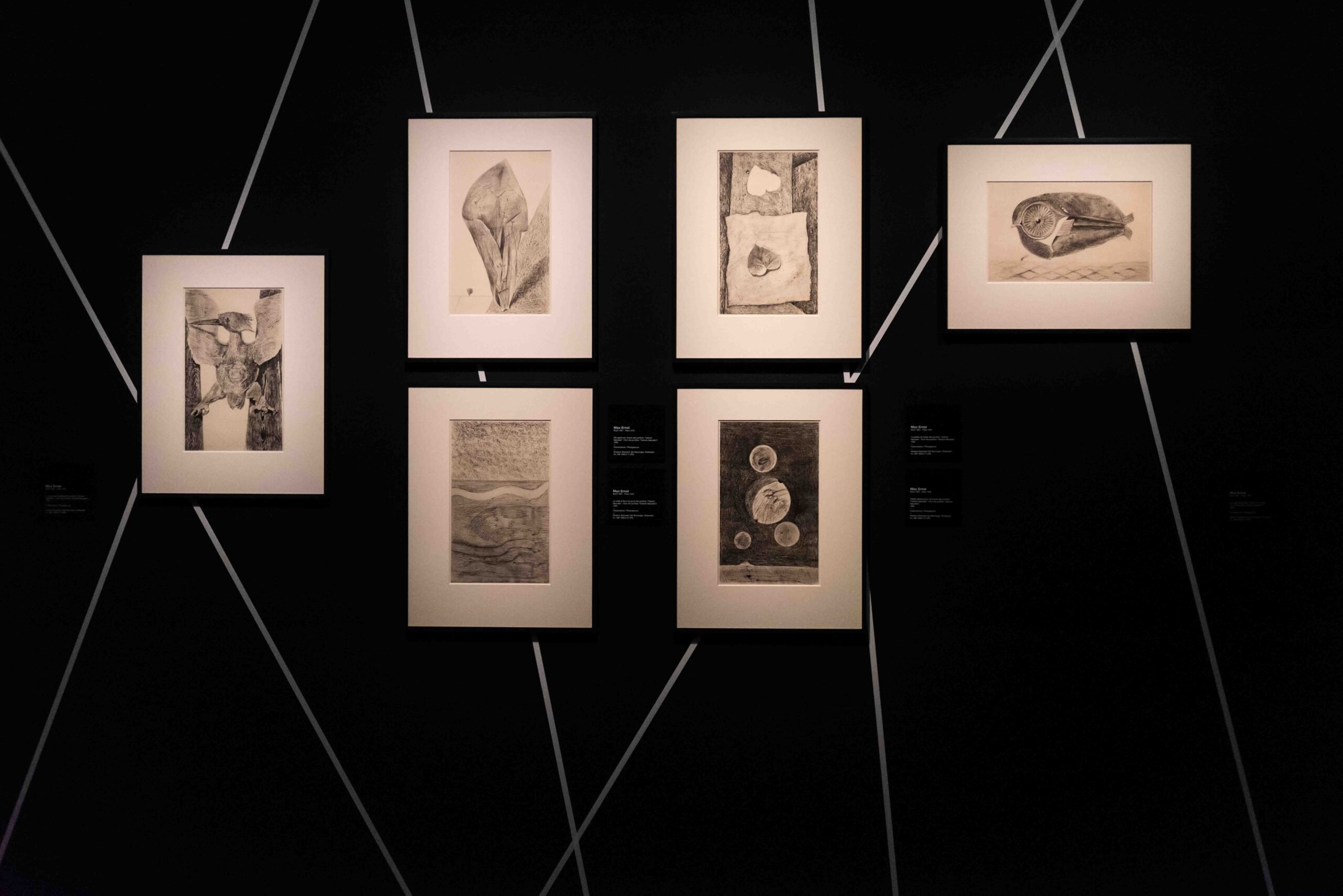 Dalí, Magritte, Man Ray e il Surrealismo. Capolavori dal Museo Boijmans van Beuningen di Rotterdam, installation view, Mudec, Milano, 2023. Photo Carlotta Coppo