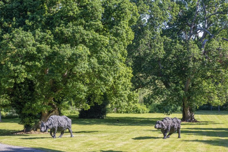 Davide Rivalta, Grazing in Lucan, Dublino, 2023