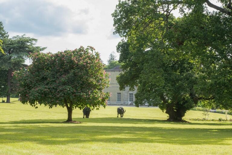 Davide Rivalta, Grazing in Lucan, Dublino, 2023