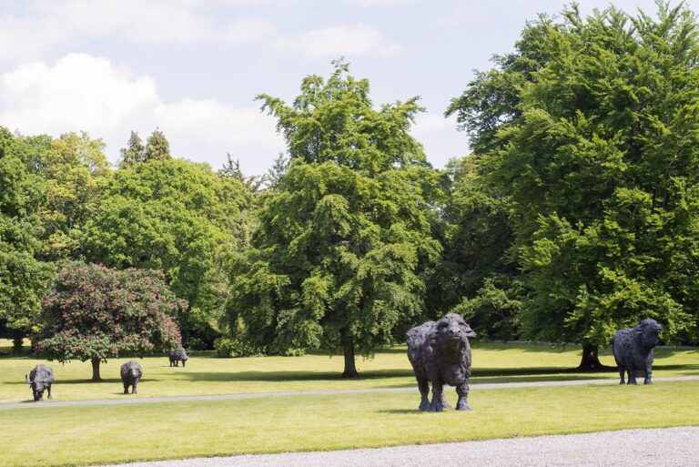 Davide Rivalta, Grazing in Lucan, Dublino, 2023