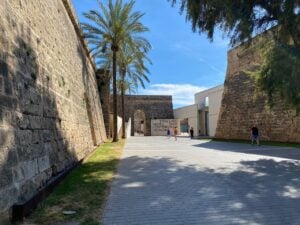 Musei, fondazioni e gallerie d’arte di Maiorca. La guida