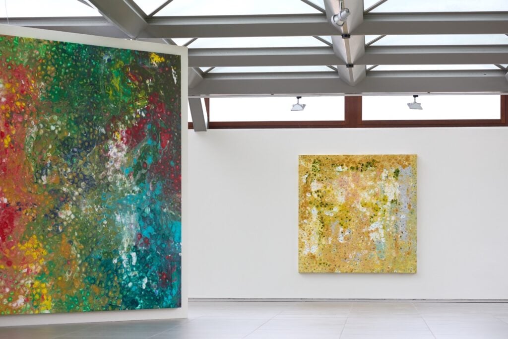 Roberto Coda Zabetta in mostra all’Oasi Zegna