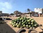 I giardini di Dakar. Photo Claudia Zanfi