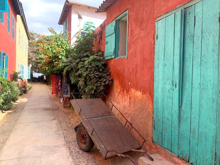 I giardini di Dakar. Photo Claudia Zanfi