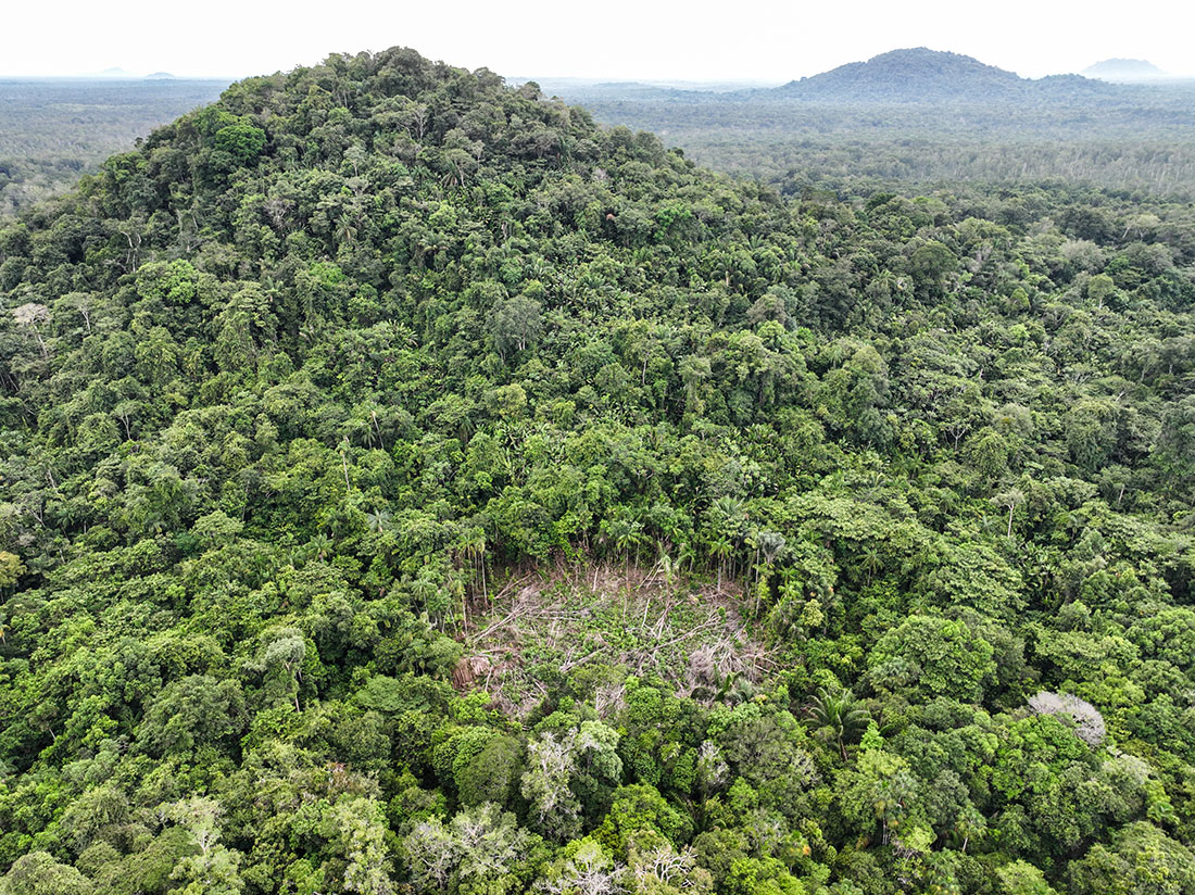 Indigenous swidden by Uaupés river, Alto Rio, Negro, Amazonia, 2022 © Fellipe Abreu