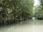 L'alluvione in Emilia Romagna, maggio 2023. Photo Silvia Camporesi