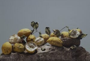 Natura morta e pittura nella mostra di Luciano Ventrone a Venezia