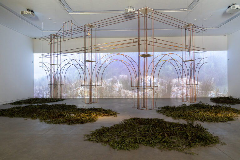 Padiglione Australia, Biennale Architettura, Venezia, 2023. Photo Irene Fanizza