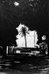 Palma, smalto su carta, 150x100 cm 2023